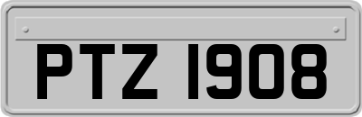 PTZ1908