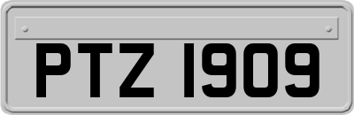 PTZ1909