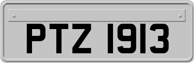 PTZ1913