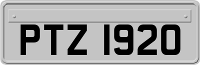 PTZ1920