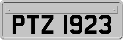 PTZ1923