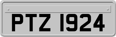 PTZ1924