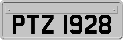 PTZ1928