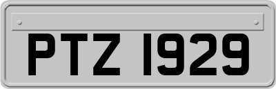 PTZ1929