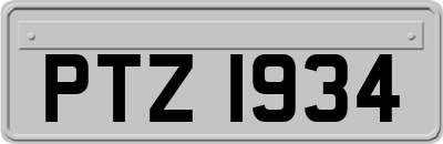 PTZ1934