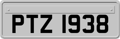 PTZ1938