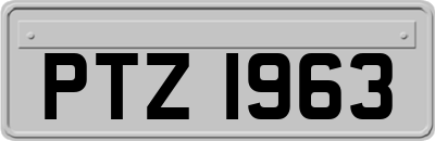 PTZ1963