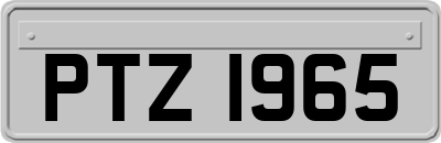 PTZ1965