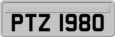 PTZ1980