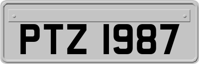 PTZ1987