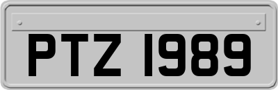 PTZ1989