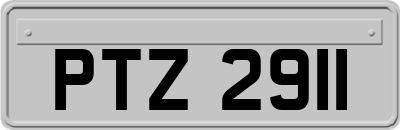 PTZ2911