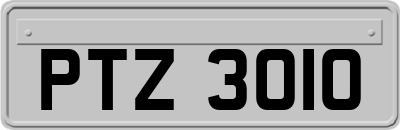 PTZ3010