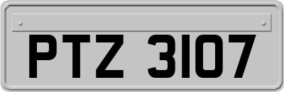 PTZ3107