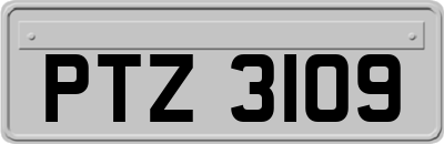 PTZ3109