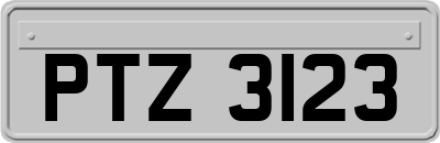 PTZ3123