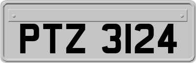 PTZ3124