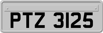 PTZ3125