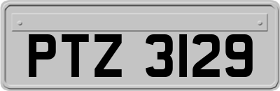 PTZ3129