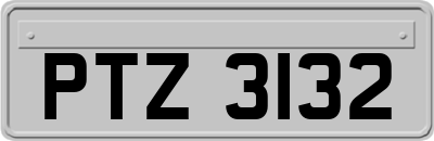 PTZ3132