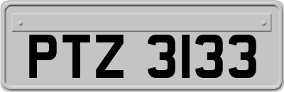 PTZ3133