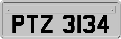 PTZ3134