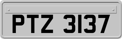 PTZ3137