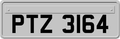 PTZ3164