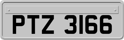 PTZ3166