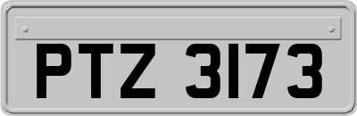 PTZ3173