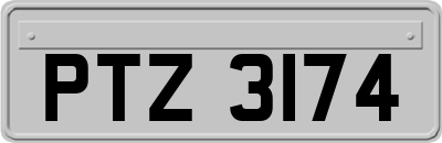 PTZ3174