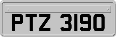 PTZ3190