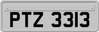 PTZ3313