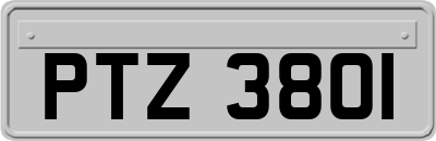 PTZ3801