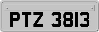 PTZ3813