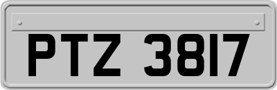 PTZ3817