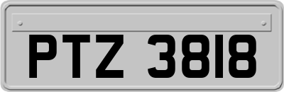 PTZ3818