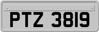 PTZ3819