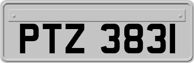 PTZ3831