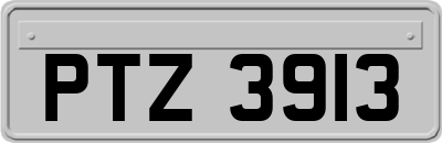 PTZ3913