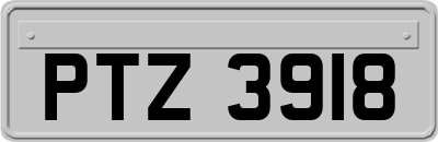 PTZ3918