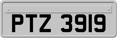 PTZ3919