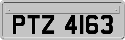 PTZ4163