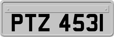 PTZ4531