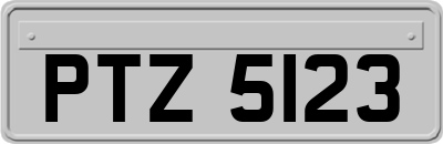 PTZ5123