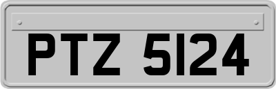 PTZ5124