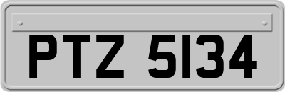 PTZ5134