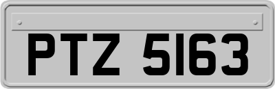 PTZ5163