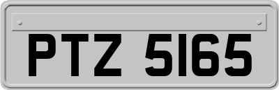 PTZ5165