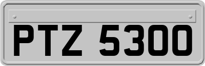 PTZ5300